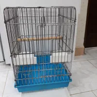 فروش قفس کاسکو|لوازم جانبی حیوانات|رشت, گلزاران|دیوار
