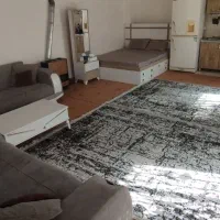 اجاره سوییت باغ روزانه ساعتی|اجارهٔ کوتاه‌مدت ویلا و باغ|ملارد, |دیوار