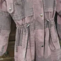 پالتو هر کی نیاز داره