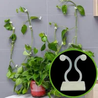 گیره پتوس و نظم دهنده چسبک دار سیم ۸عددی