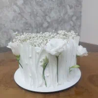 کیک خانگی پِلا|خدمات پذیرایی، مراسم|گلبهار, شهر جدید گلبهار|دیوار