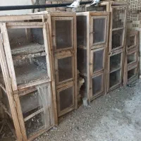 کفتر|پرنده|آران و بیدگل, |دیوار