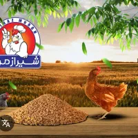 استخدام نیروی کار در سکوی انجمادکشتارگاه شیراز مرغ|استخدام خدمات فروشگاه و رستوران|شیراز, محمودآباد|دیوار