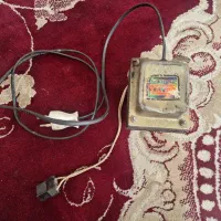 ظبط