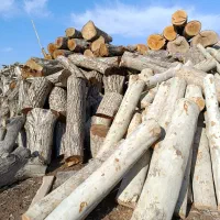 فروش و خریدار چوب باغ های شهریار و حومه بصورت نقدی