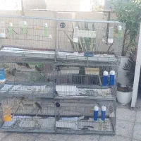قفس غلامی قدیمی