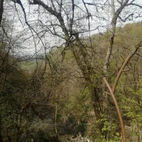 استخدام ادمین حرفه ای