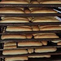 کارگاه نان فانتزی فقط پخش|اجارهٔ مغازه و غرفه|تهران, نعمتآباد|دیوار