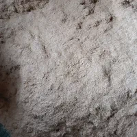 کاه گندم و جو|لوازم جانبی حیوانات|سیلوانه, |دیوار