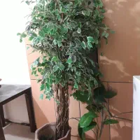 درخت مصنوعی، گل مصنوعی