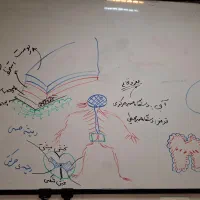 کلاس عمومی و خصوصی اردبیل و حومه|فعالیت داوطلبانه|اردبیل, |دیوار