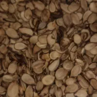 تخمه اجیلی|خوردنی و آشامیدنی|القجر, |دیوار