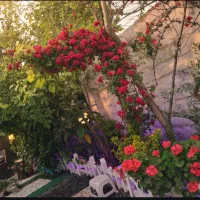 ویلای رویایی کنار رودخانه نوساز، حیاط‌دار