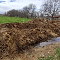 کود گوسفندی