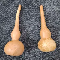 کدو و لوازم یلدا و عید|مجسمه، تندیس، ماکت|ماهدشت, |دیوار