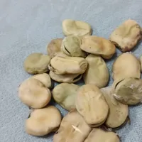 باقلا خشک محلی تازه