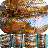 ضایعات خرما