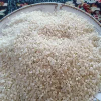 خرده برنج کامفیروزی نو|خوردنی و آشامیدنی|شیراز, پانصد دستگاه ارتش|دیوار