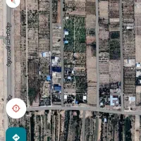 زمین پسته شهربابک|فروش زمین و ملک کلنگی|شهر بابک, |دیوار