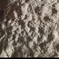 فروش ۱۵تا۲۰ عددکاه تازه امسال