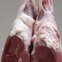 فروش کلی و جزئی گوشت قرمز دامی گوسفند و گوساله|خوردنی و آشامیدنی|مشهد, مقدم|دیوار