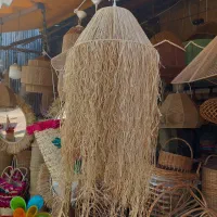 آواژور ولوستر