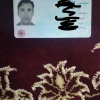 مدارک گم شده، بنام مجتبی پرنده