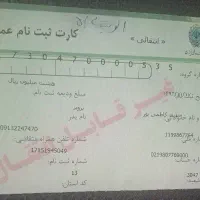 فیش حج