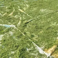 زمین-کشاورزی