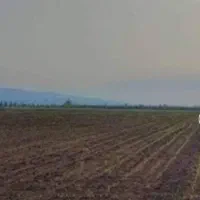 بیست هکتار زمین کشاورزی  پنج میلیارد در فراهان|فروش زمین و ملک کلنگی|فرمهین, |دیوار