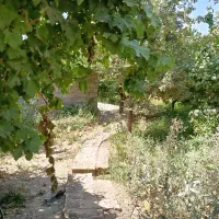 فروش باغ بر خیابان|فروش زمین و ملک کلنگی|اصفهان, محمودآباد|دیوار