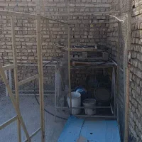 قفس کبوتر