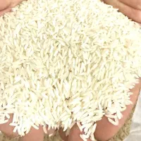 برنج پاکستانی درجه یک اعلا و معطر اقتصادی|خوردنی و آشامیدنی|بهارستان, |دیوار