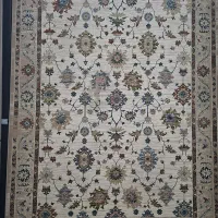 شرایط ویژه فروش فرش تا ۵ سال|فرش|شیراز, شهرک بهار|دیوار