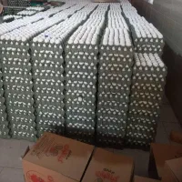 تخم مرغ|خوردنی و آشامیدنی|تهران, شهرآرا|دیوار