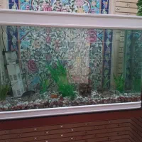 فروش آکواریوم فوری