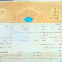 زمین وام دار  اماده ساخت به فروش میرسد|فروش زمین و ملک کلنگی|گرمی, |دیوار