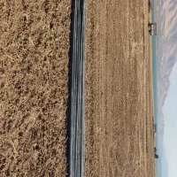 لوله بارانی 75