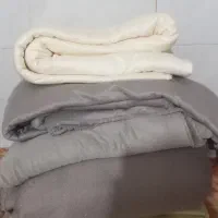 پارچه تدی عروسکی ببعی
