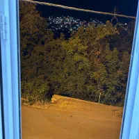 سویت خانه اجاره ای پاوه روستای گردشگری خانقاه|اجارهٔ کوتاه‌مدت آپارتمان و سوئیت|پاوه, |دیوار