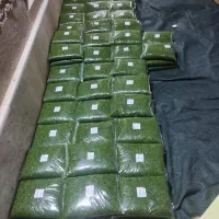 کار سبزی فروشی
