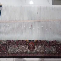 قالی