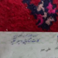 کارت ماشین  به نام علی میر پیدا شده