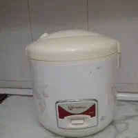 پلوپز و زودپز برقی