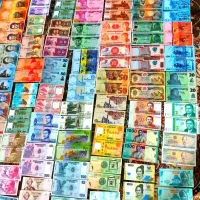 آلبوم|کلکسیون سکه، تمبر، اسکناس|رشت, بازار|دیوار