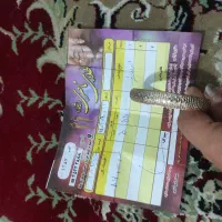 النگو طلا|جواهرات|اسلام‌‌آباد غرب, |دیوار