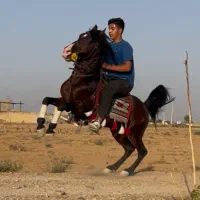 نریان ۶ ساله به شدت سواری درجه یک
