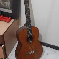 گیتار c 40