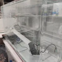 آکواریوم همراه با وسایل|ماهی|مشهد, شهید بهشتی|دیوار