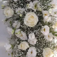 گروه موسیقی فلورز دیجی رز سفید